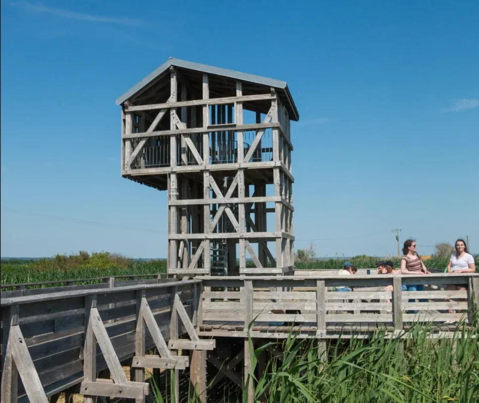 Observatoire à lavaux sur loire