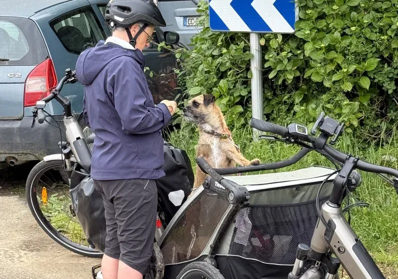 voyager en vélo avec votre animal de compagnie le chien